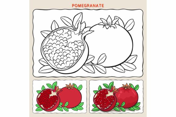 A Pomegranate Coloring Page as a Graphic Design Asset
